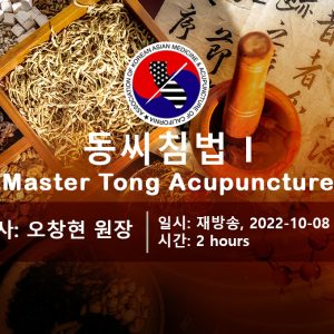 동씨침법 I (재)