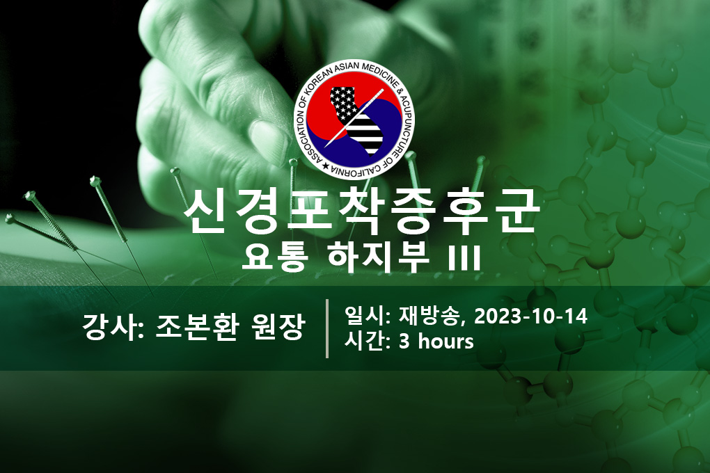 신경포착증후군 요통 하지부 III (재)