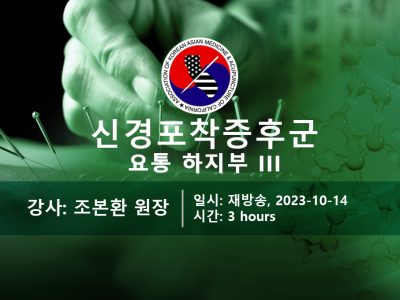신경포착증후군 요통 하지부 III (재)