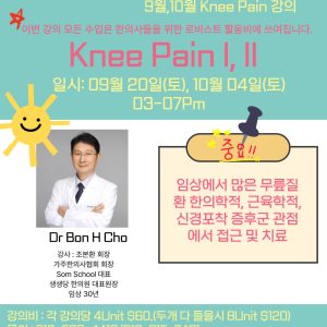 Acupuncture for Knee Pain Nerve Entrapment III