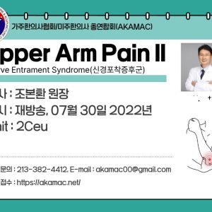Nerve Entrapment: Lower Arm II (신경포착증후군 상완부 II) (재)