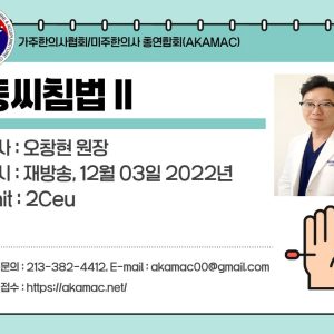 Master Tong Acupuncture II (동씨침법 II)