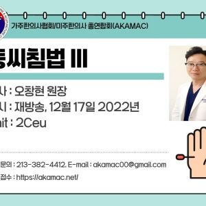 Master Tong Acupuncture III (동씨침법 III)
