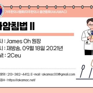 Sa-Am Acupuncture II (사암침법 II)