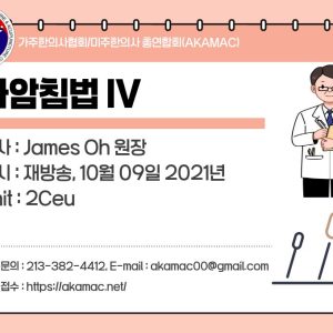 Sa-Am Acupuncture IV (사암침법 IV)
