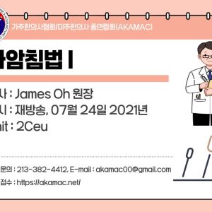 Sa-Am Acupuncture I (사암침법 I)