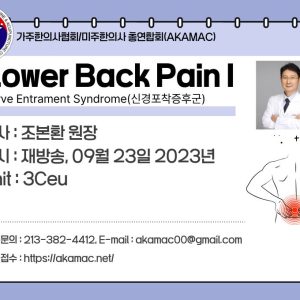 Nerve Entrapment: Lumbago, Lower Extremities I (신경포착증후군 요통 하지부 I) (재)