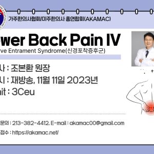 Nerve Entrapment: Lumbago, Lower Extremities IV (신경포착증후군 요통 하지부 IV) (재)